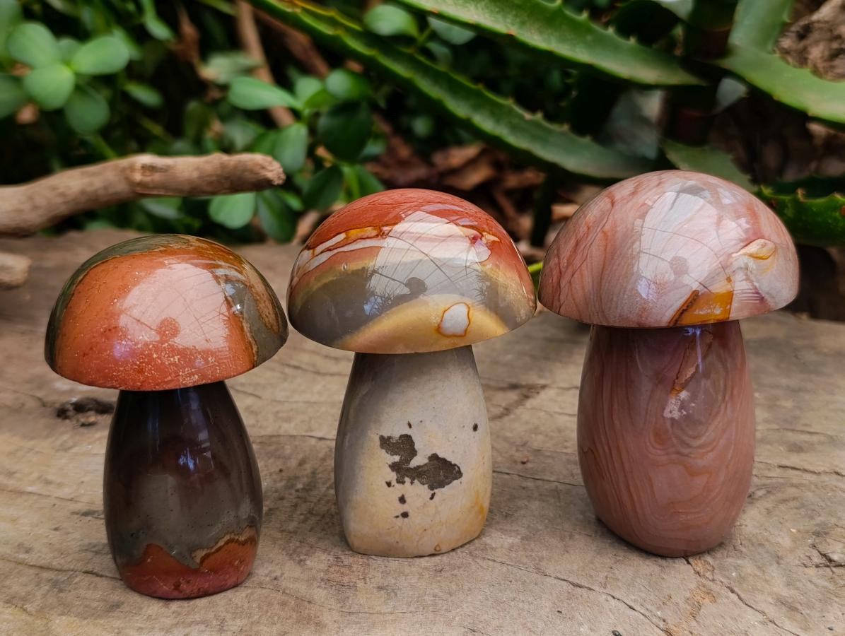 Polished Large Polychrome Jasper Mushrooms x 6 From NW Coast, Madagascar