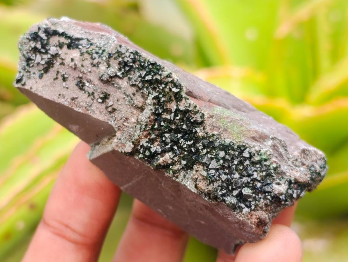 Natural Libethenite Crystals on Dolomite Matrix Specimens x 12 From Shituru, Congo