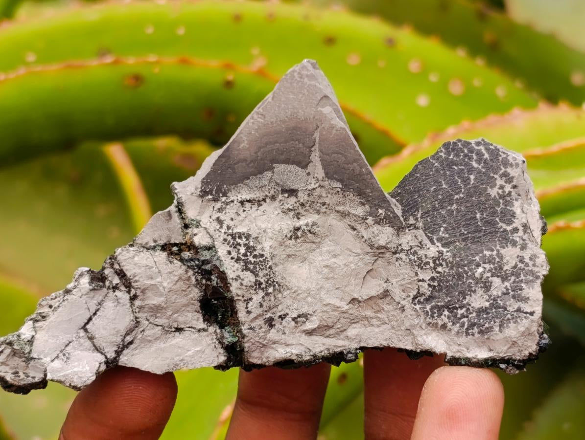 Natural Libethenite Crystals on Dolomite Matrix Specimens x 12 From Shituru, Congo