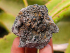 Natural Libethenite Crystals on Dolomite Matrix Specimens x 12 From Shituru, Congo