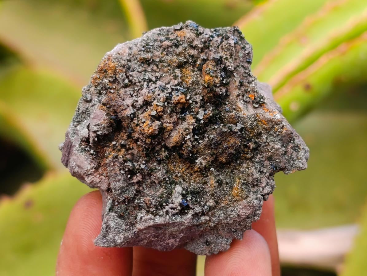 Natural Libethenite Crystals on Dolomite Matrix Specimens x 12 From Shituru, Congo