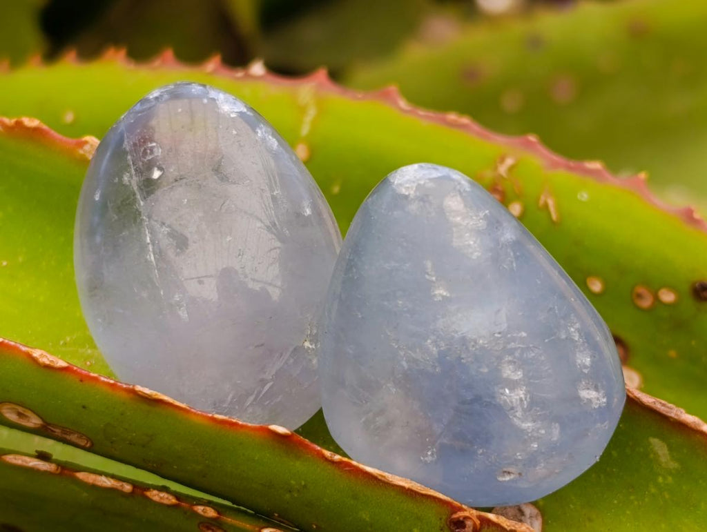 Polished Blue Celestite Free Form Crystals x 35 From Sakoany, Madagascar