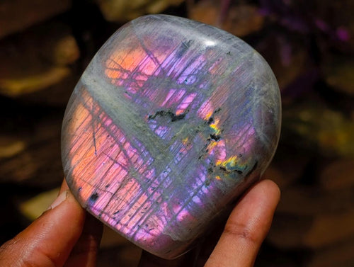 Polished Rare Purple Sunset Flash Labradorite Standing Free Forms x 3 From Madagascar