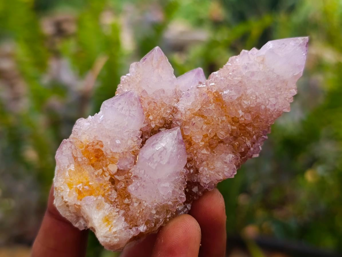 Natural Amethyst and Ametrine Spirit Clusters x 6 From Boekenhouthoek, South Africa