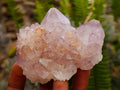 Natural Amethyst and Ametrine Spirit Clusters x 6 From Boekenhouthoek, South Africa