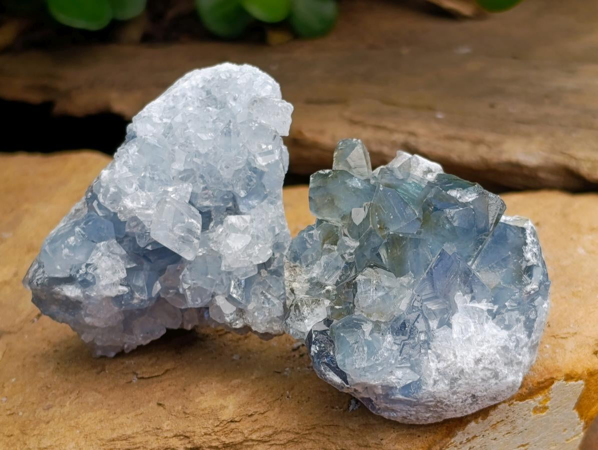 Natural Blue Celestite Cluster Specimens x 24 From Sakoany, Madagascar