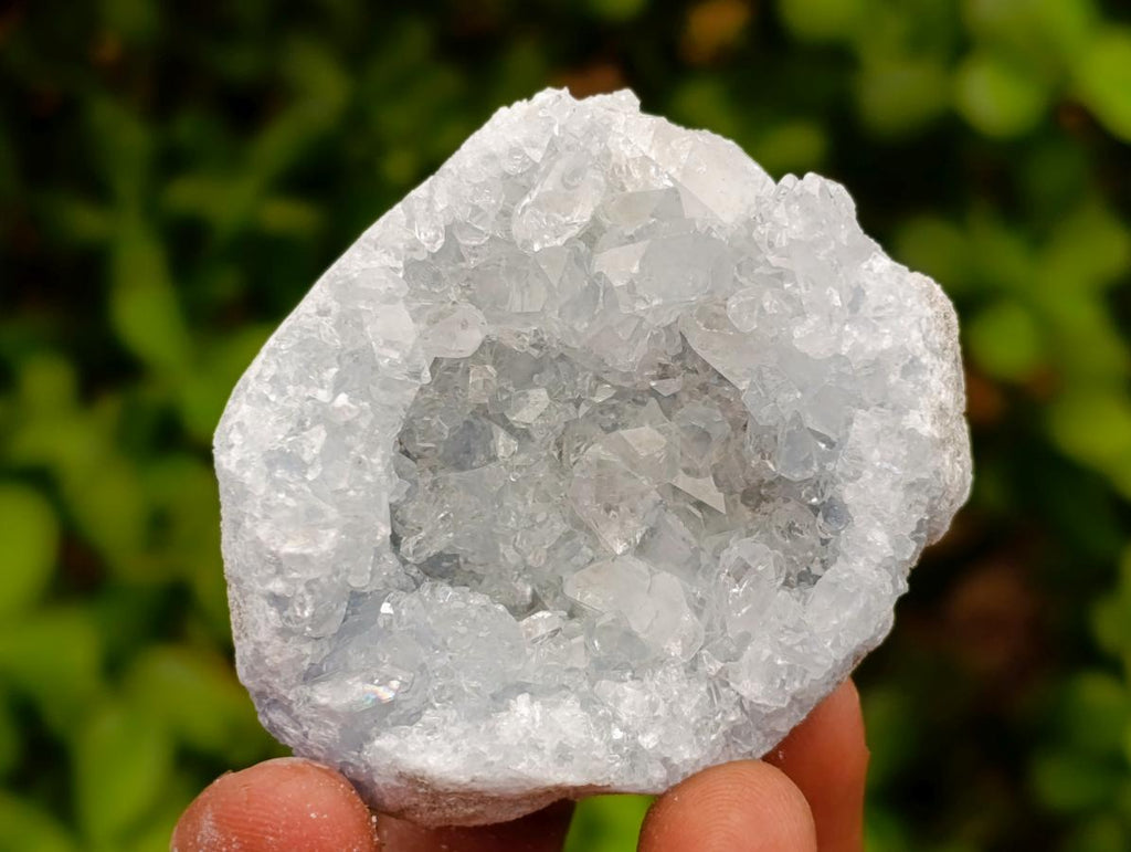 Natural Blue Celestite Cluster Specimens x 24 From Sakoany, Madagascar