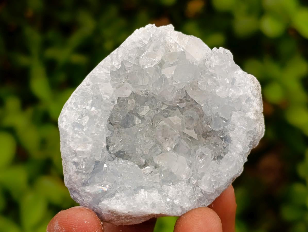 Natural Blue Celestite Cluster Specimens x 24 From Sakoany, Madagascar