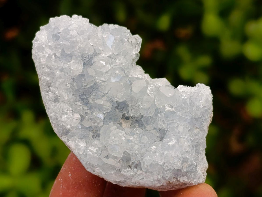 Natural Blue Celestite Cluster Specimens x 24 From Sakoany, Madagascar