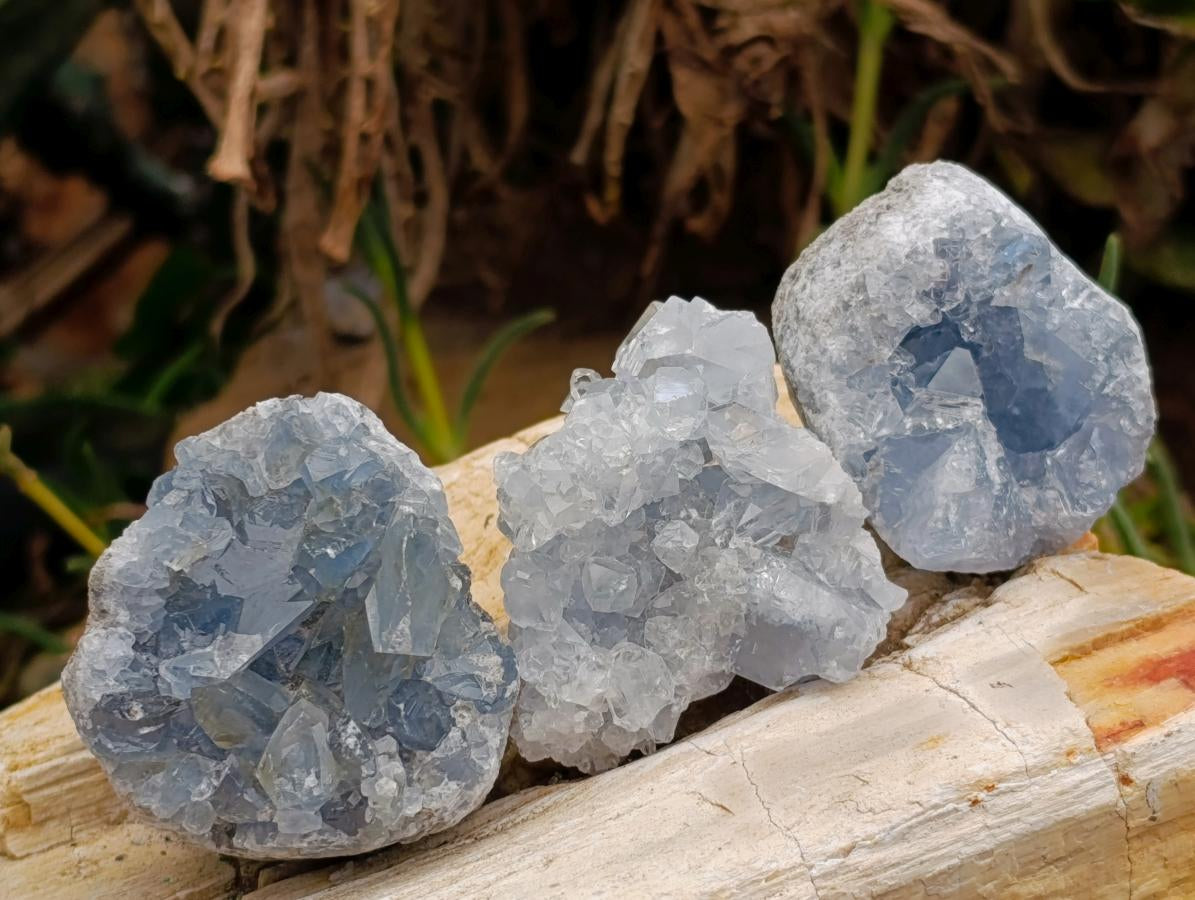 Natural Blue Celestite Cluster Specimens x 24 From Sakoany, Madagascar