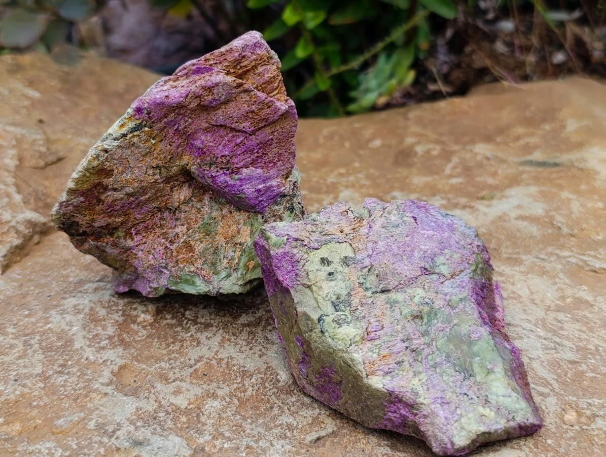 Natural Stichtite Cobbed Specimens x 12 From Barberton, South Africa