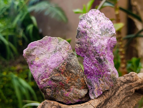 Natural Stichtite Cobbed Specimens x 12 From Barberton, South Africa