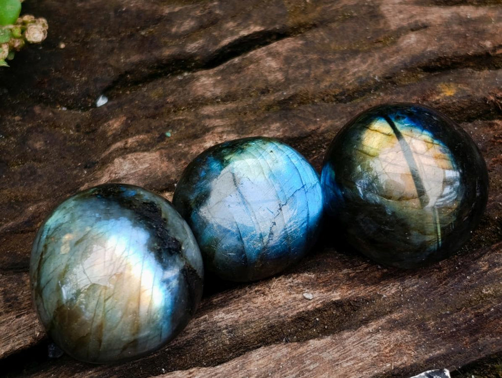 Polished Rounded Labradorite Free Forms x 70 From Madagascar