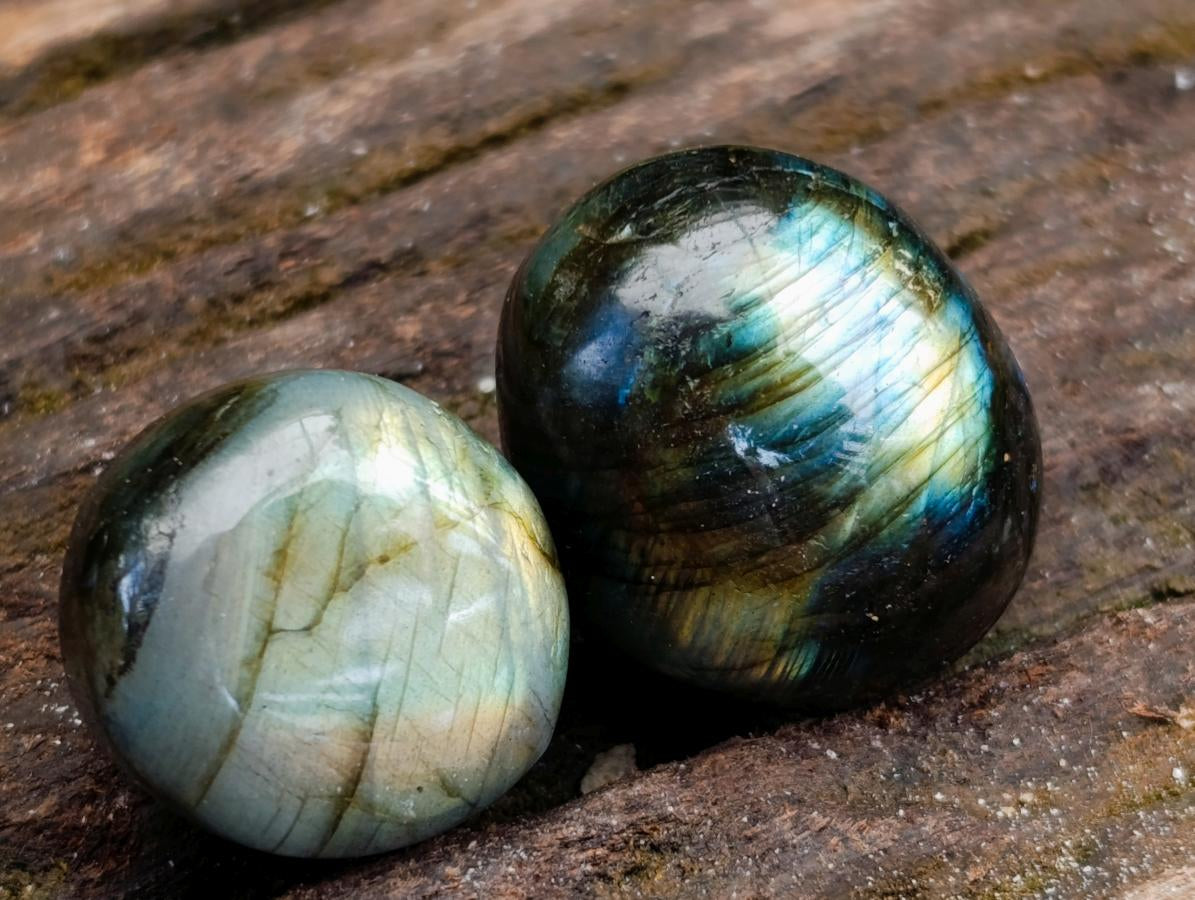 Polished Rounded Labradorite Free Forms x 70 From Madagascar