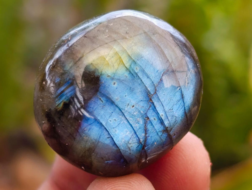 Polished Rounded Labradorite Free Forms x 70 From Madagascar