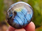 Polished Rounded Labradorite Free Forms x 70 From Madagascar