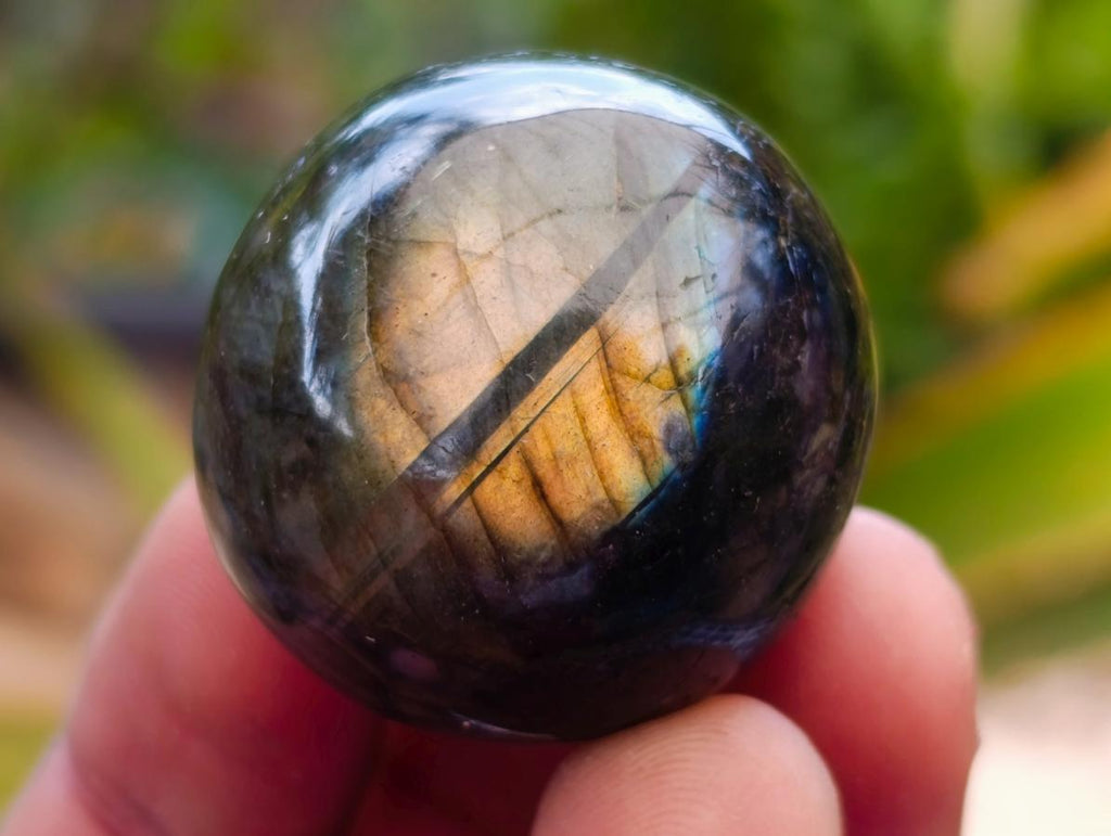 Polished Rounded Labradorite Free Forms x 70 From Madagascar