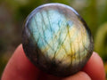Polished Rounded Labradorite Free Forms x 70 From Madagascar