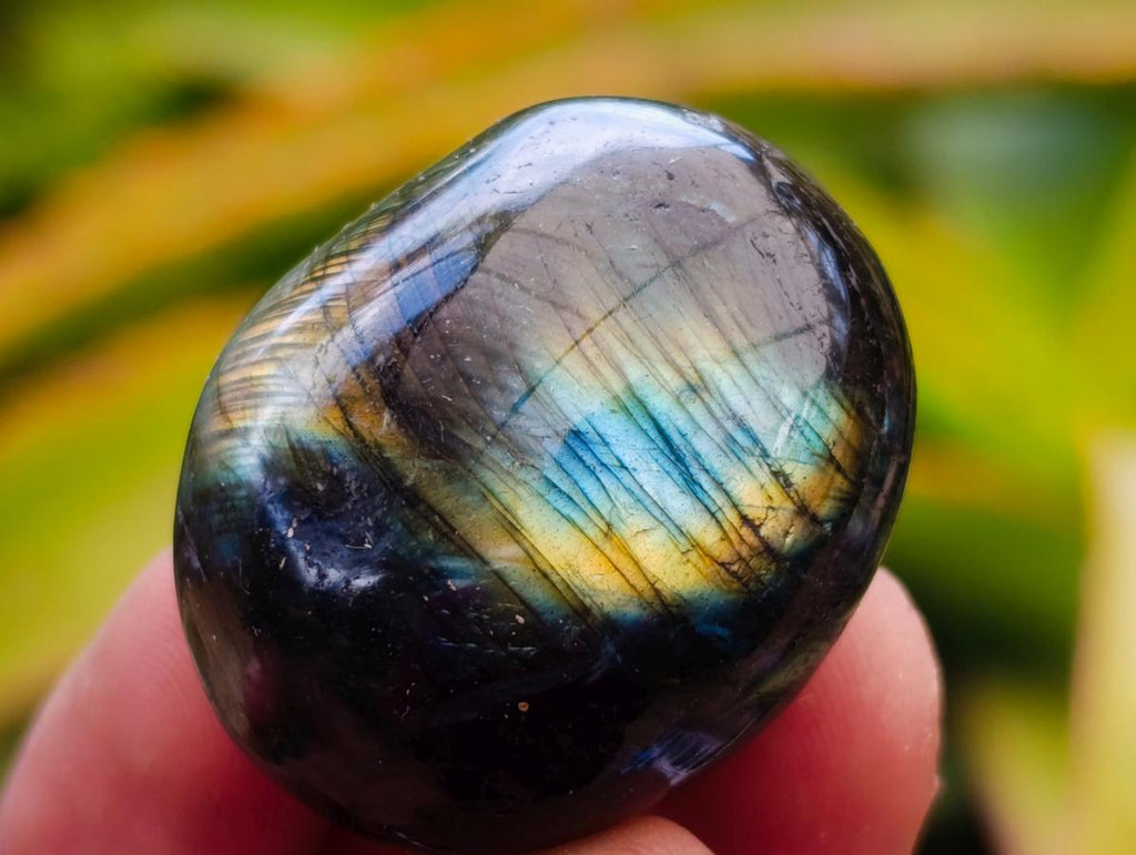 Polished Rounded Labradorite Free Forms x 70 From Madagascar