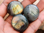 Polished Rounded Labradorite Free Forms x 70 From Madagascar