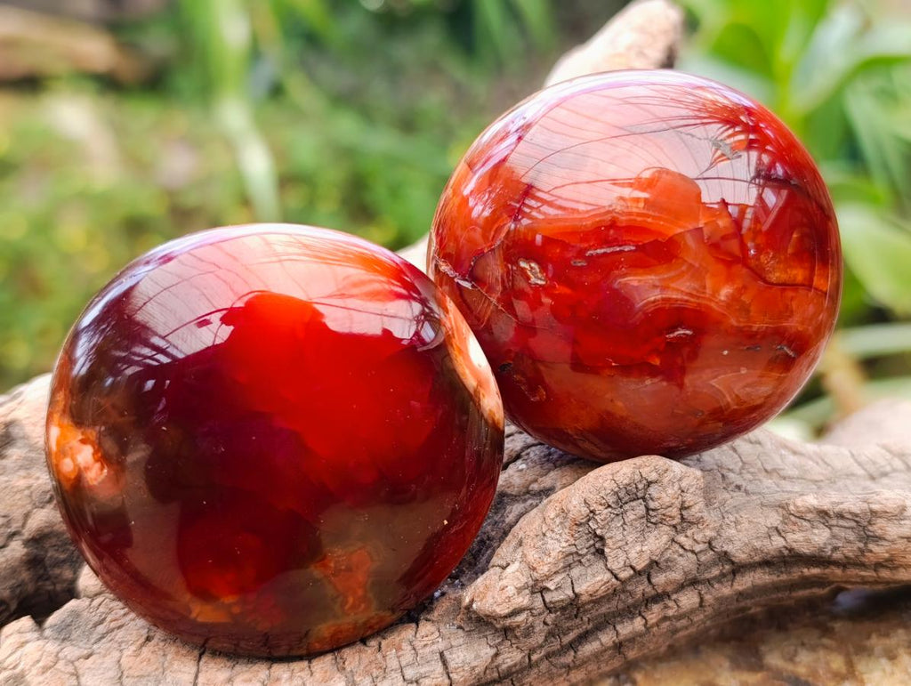 Polished Carnelian Agate Gemstone Galets x 12 From Madagascar