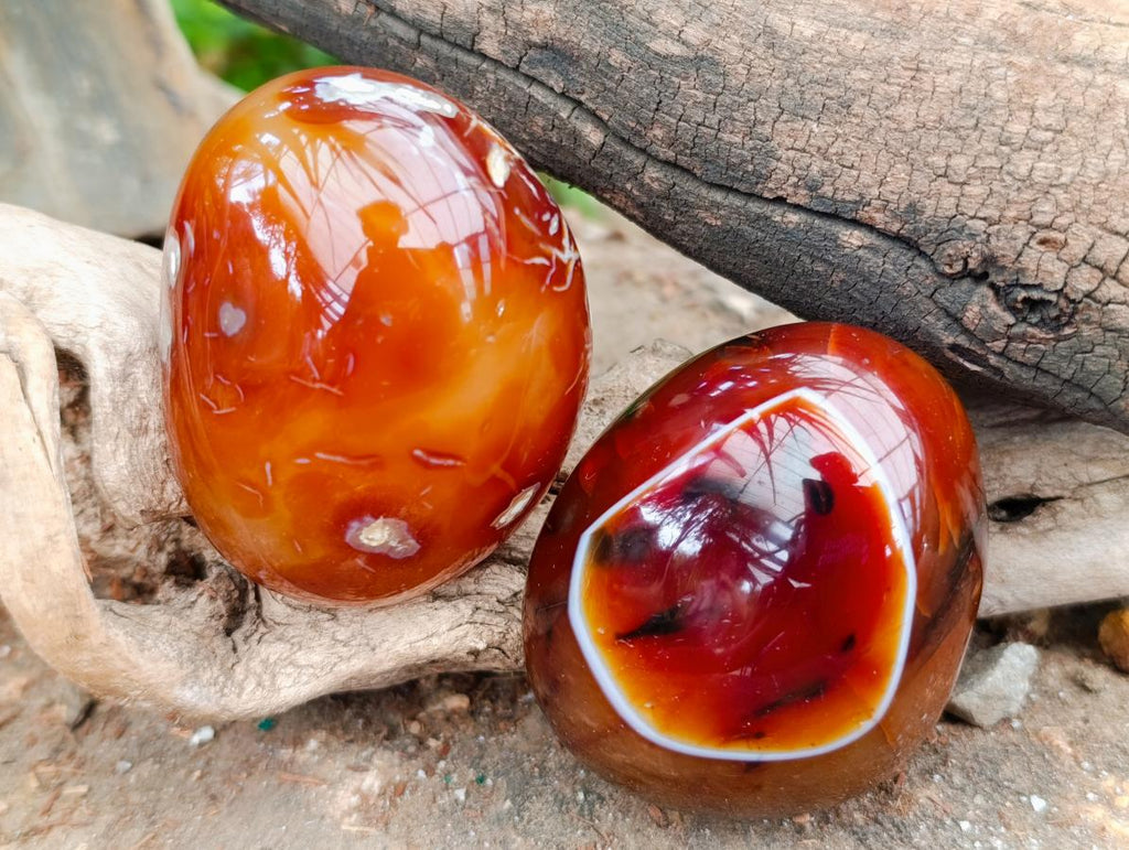 Polished Carnelian Agate Gemstone Galets x 12 From Madagascar