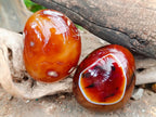 Polished Carnelian Agate Gemstone Galets x 12 From Madagascar