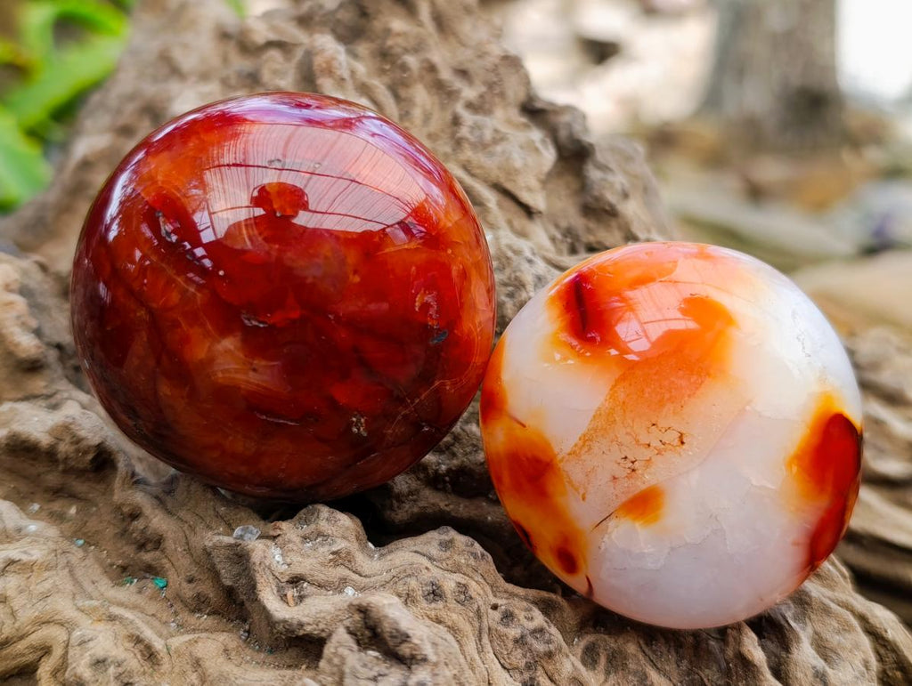 Polished Carnelian Agate Gemstone Galets x 12 From Madagascar