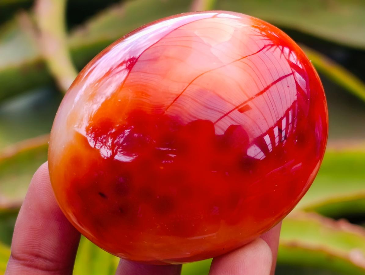 Polished Carnelian Agate Gemstone Galets x 12 From Madagascar