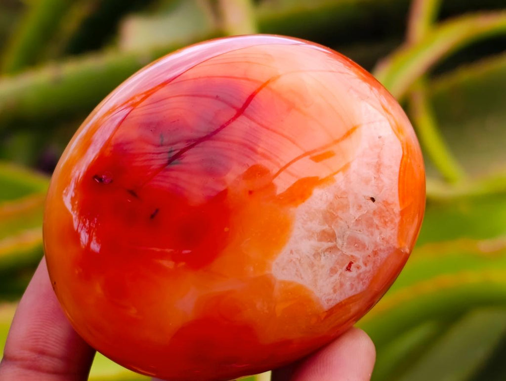 Polished Carnelian Agate Gemstone Galets x 12 From Madagascar