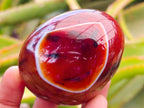 Polished Carnelian Agate Gemstone Galets x 12 From Madagascar