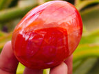 Polished Carnelian Agate Gemstone Galets x 12 From Madagascar
