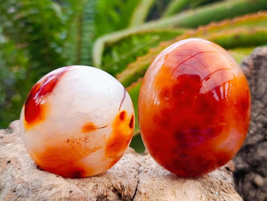 Polished Carnelian Agate Gemstone Galets x 12 From Madagascar