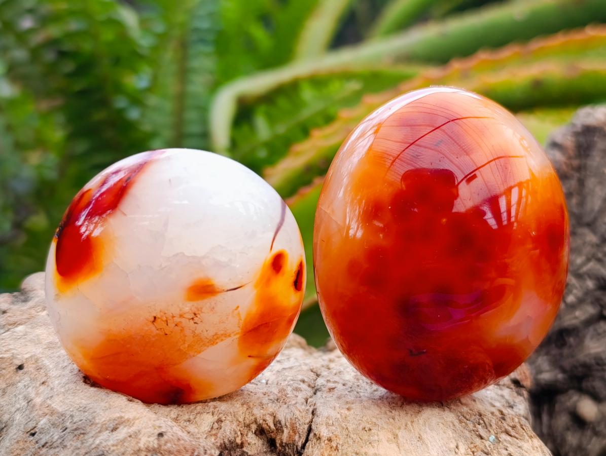 Polished Carnelian Agate Gemstone Galets x 12 From Madagascar