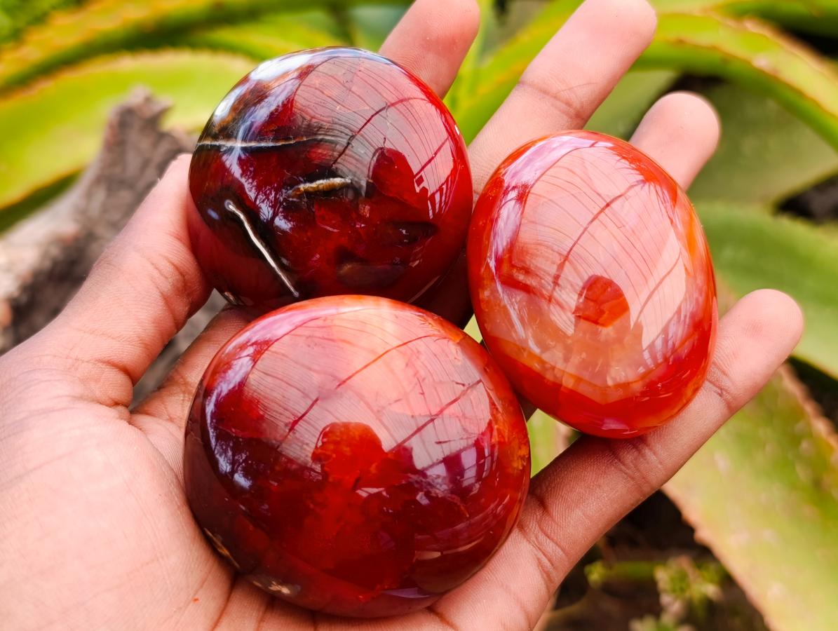 Polished Carnelian Agate Gemstone Galets x 12 From Madagascar