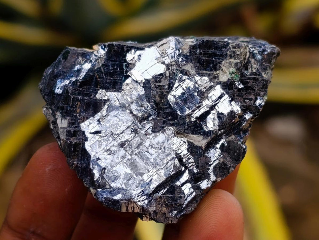 Natural Bright Silver Lead Galena Cobbed Specimens x 40 From Kaokoveld, Namibia