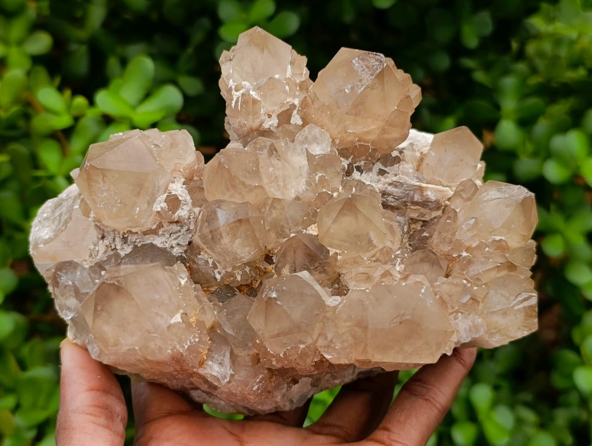Natural White Phantom Cascading Smokey Luena Quartz Clusters x 2 From Luena, Congo
