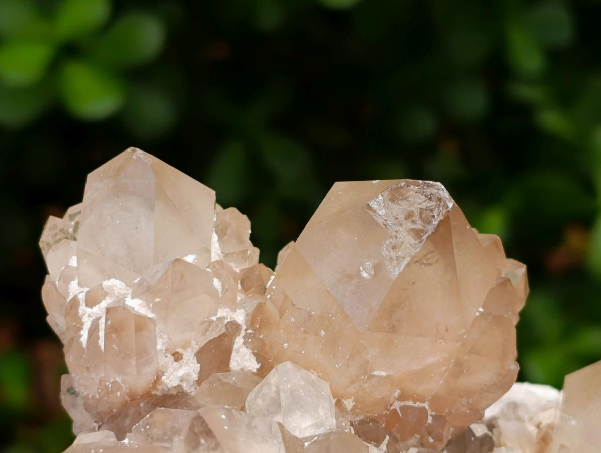 Natural White Phantom Cascading Smokey Luena Quartz Clusters x 2 From Luena, Congo