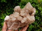 Natural White Phantom Cascading Smokey Luena Quartz Clusters x 2 From Luena, Congo