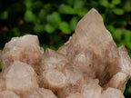 Natural White Phantom Cascading Smokey Luena Quartz Clusters x 2 From Luena, Congo