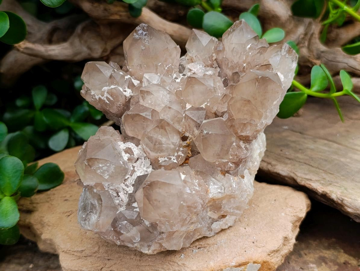 Natural White Phantom Cascading Smokey Luena Quartz Clusters x 2 From Luena, Congo