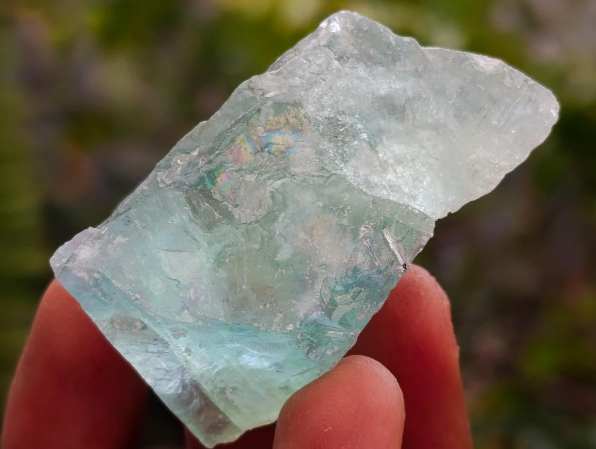 Natural Watermelon Fluorite Cobbed Specimens x 24 From Uis, Namibia