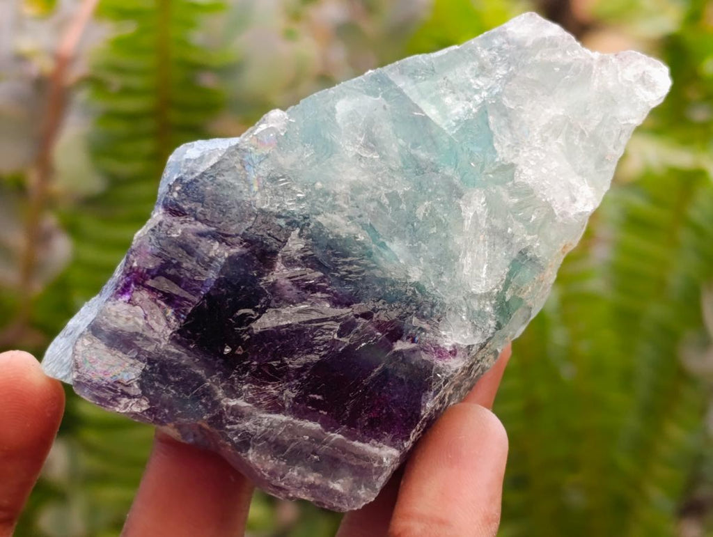 Natural Watermelon Fluorite Cobbed Specimens x 24 From Uis, Namibia