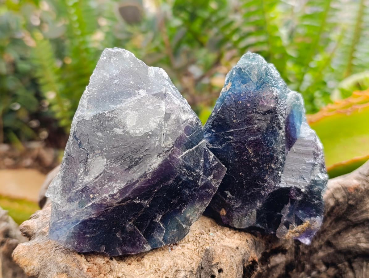 Natural Watermelon Fluorite Cobbed Specimens x 24 From Uis, Namibia