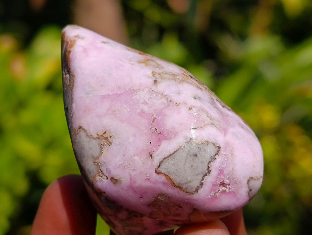 Polished Cobaltion Calcite in Dolomite Free Forms x 12 From Kakanda, Congo