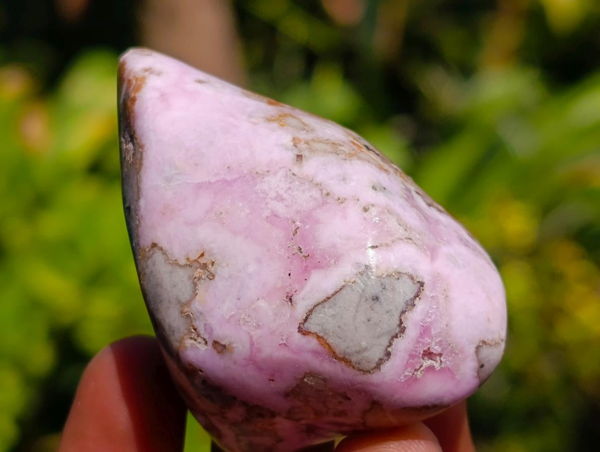 Polished Cobaltion Calcite in Dolomite Free Forms x 12 From Kakanda, Congo