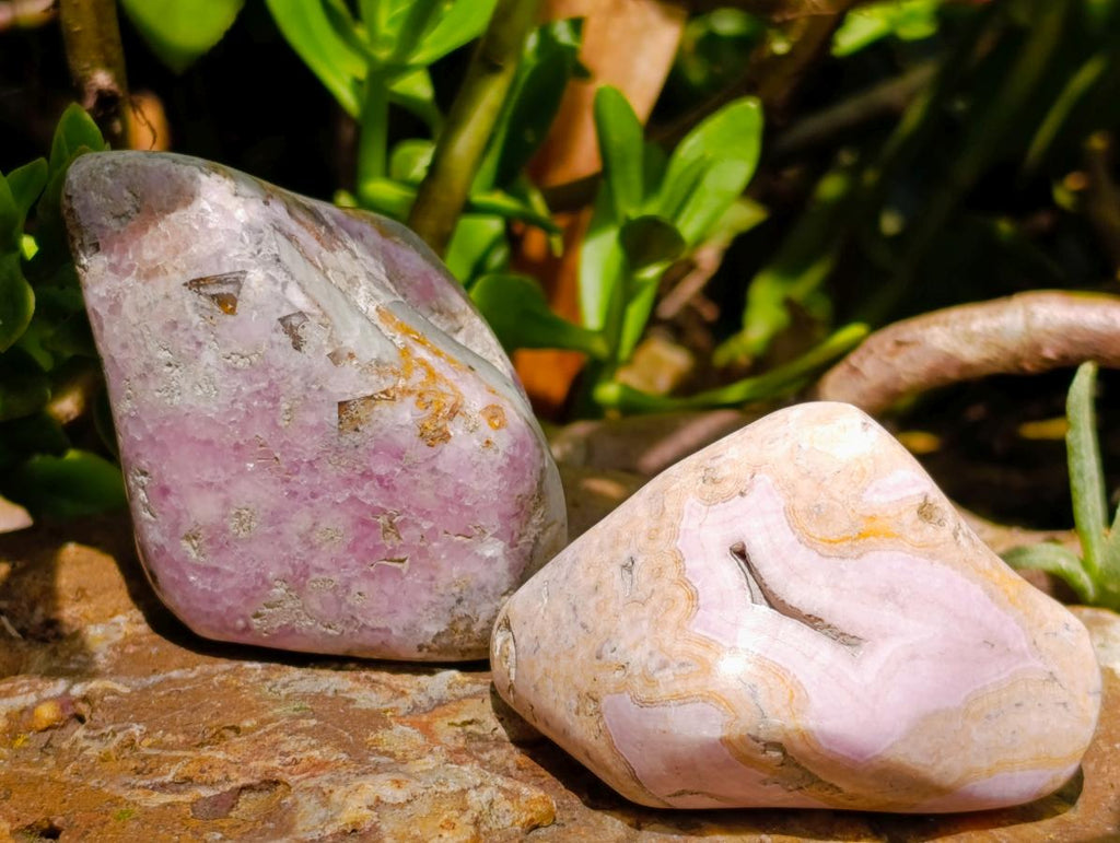 Polished Cobaltion Calcite in Dolomite Free Forms x 12 From Kakanda, Congo