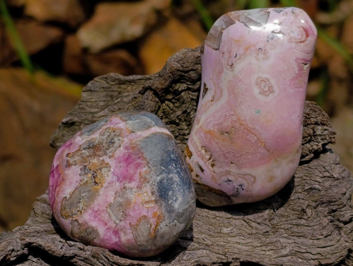 Polished Cobaltion Calcite in Dolomite Free Forms x 12 From Kakanda, Congo