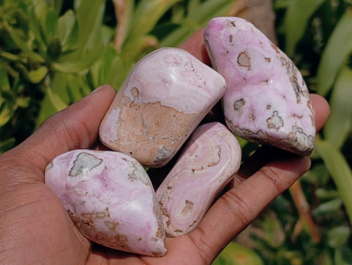 Polished Cobaltion Calcite in Dolomite Free Forms x 12 From Kakanda, Congo