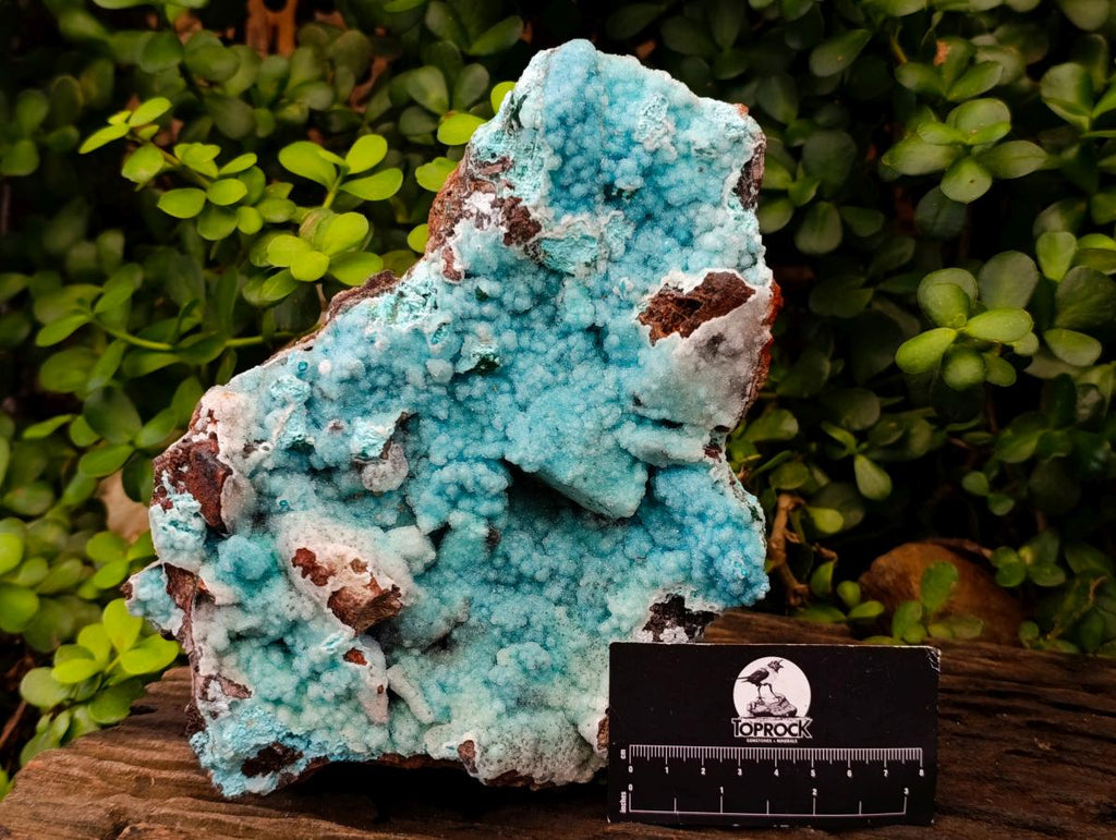 Natural Large Exquisite Drusy Coated Chrysocolla Specimen x 1 From Lupoto Mine, Congo